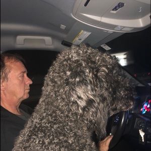 Meet your Posher, Gary